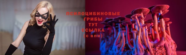 MDMA Богородск