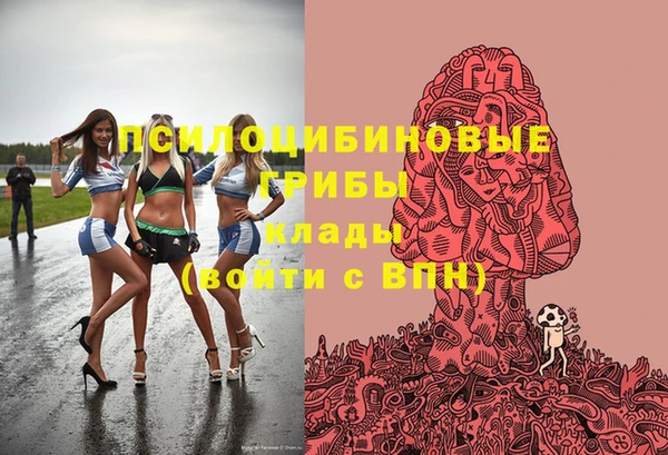 спиды Богданович